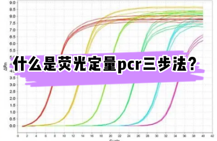 什么是荧光定量pcr三步法？