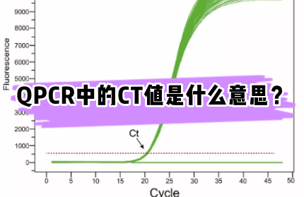 QPCR中的CT值是什么意思？
