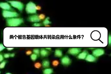 双荧光素酶的两个报告基因载体作共转染应用什么条件呢？