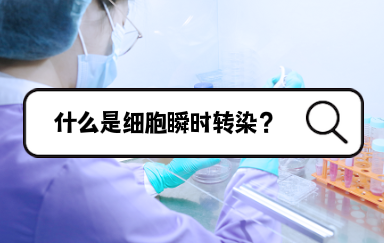 什么是细胞瞬时转染？