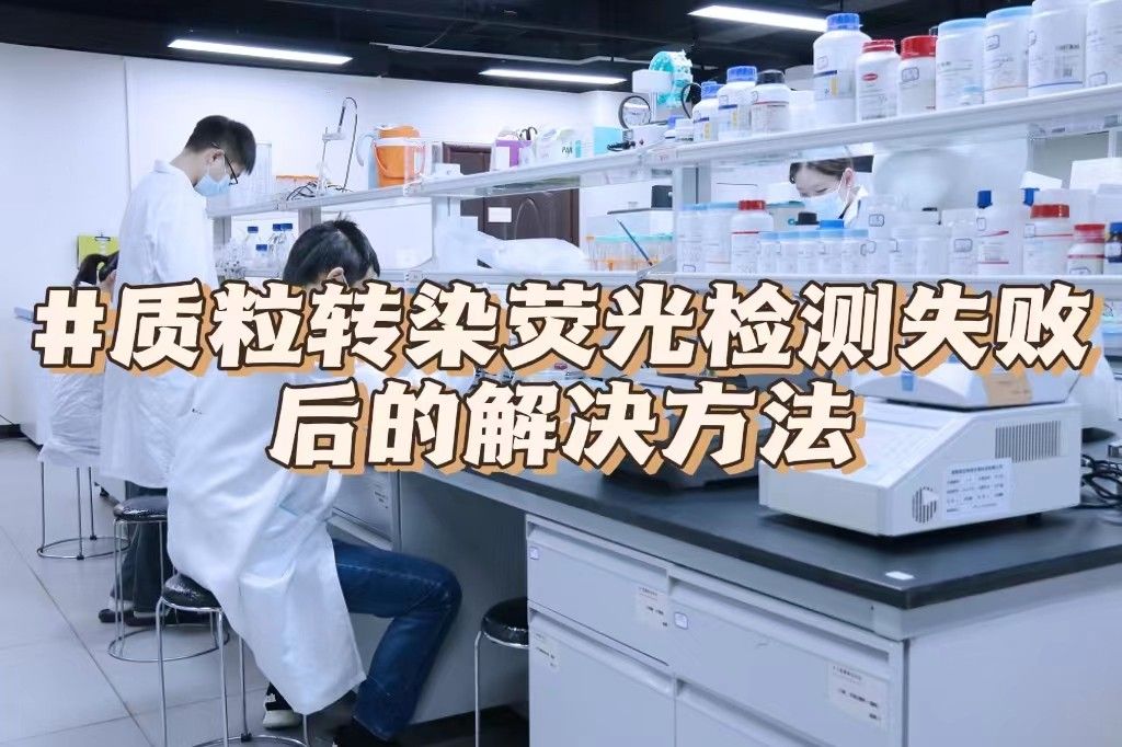  质粒转染荧光检测失败后的解决办法