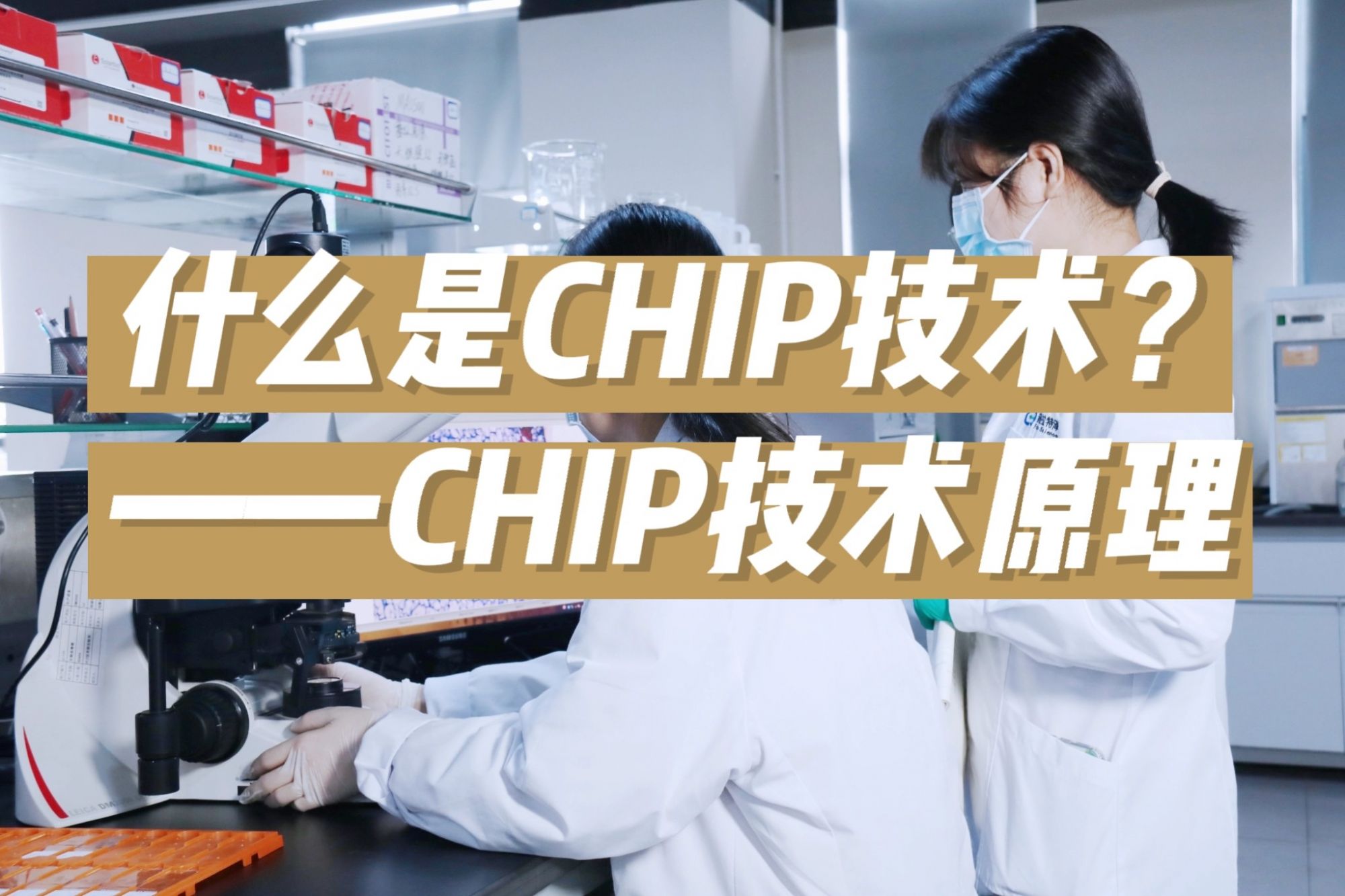   什么是CHIP技术？&mdash;&mdash;CHIP技术原理