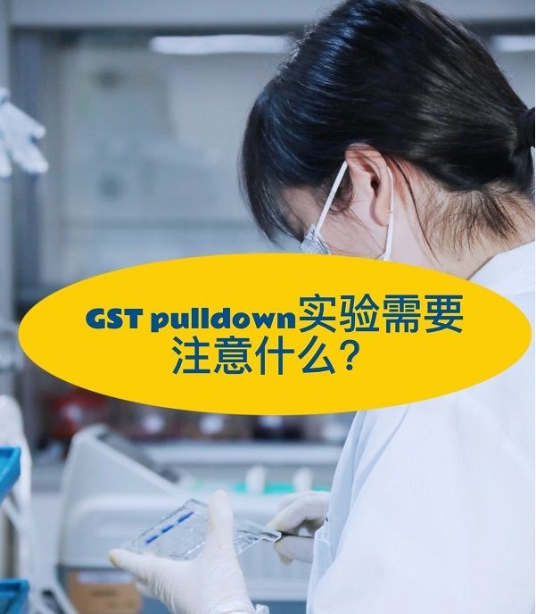  GST pulldown实验的需要注意什么？