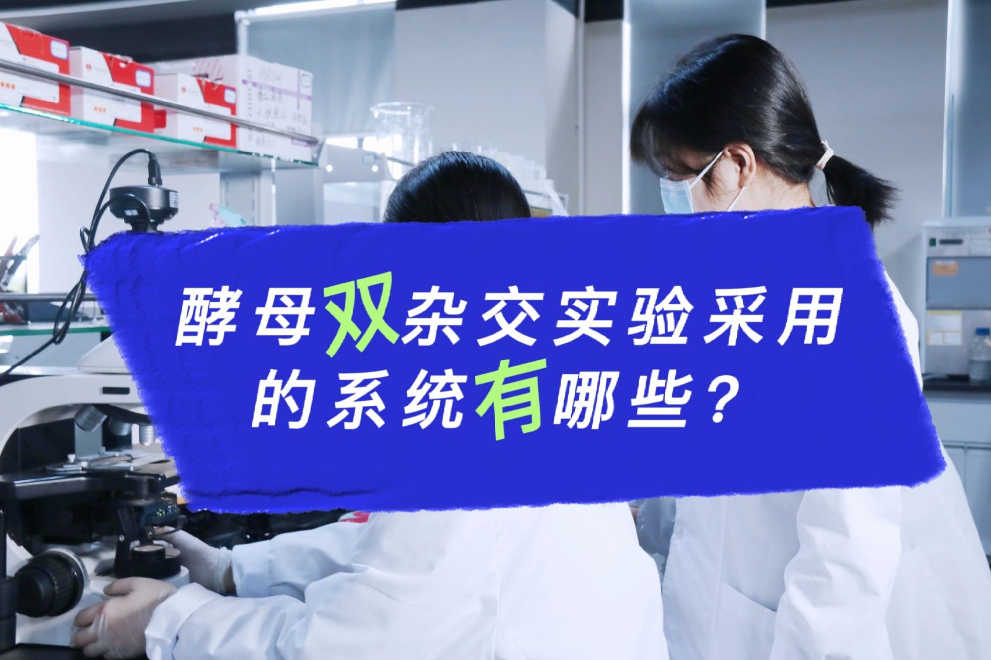 酵母双杂交实验采用的系统有哪些？