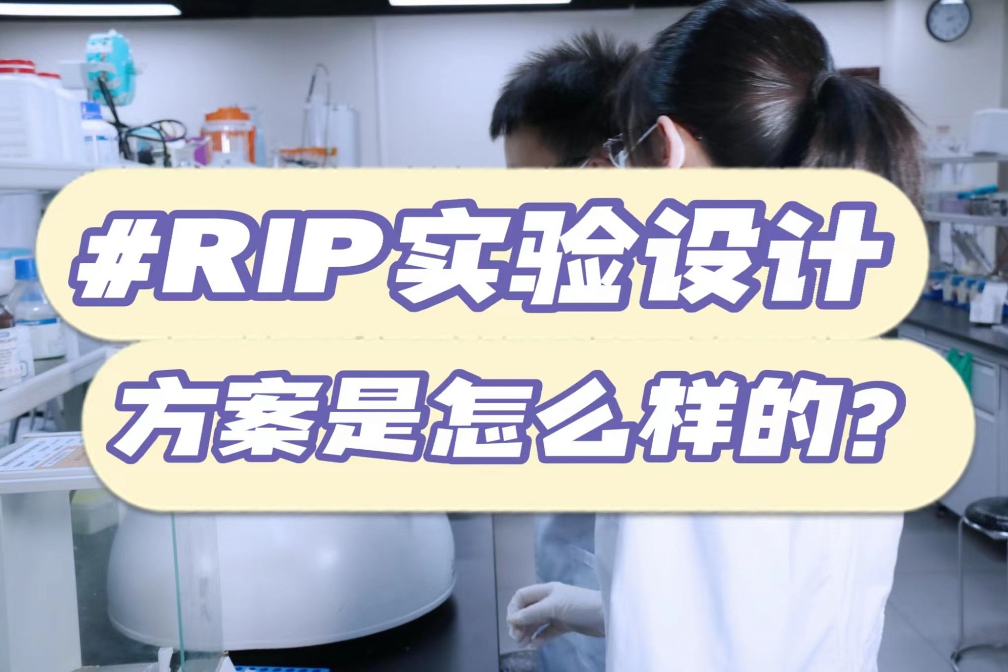 RIP实验设计方案是怎样的？