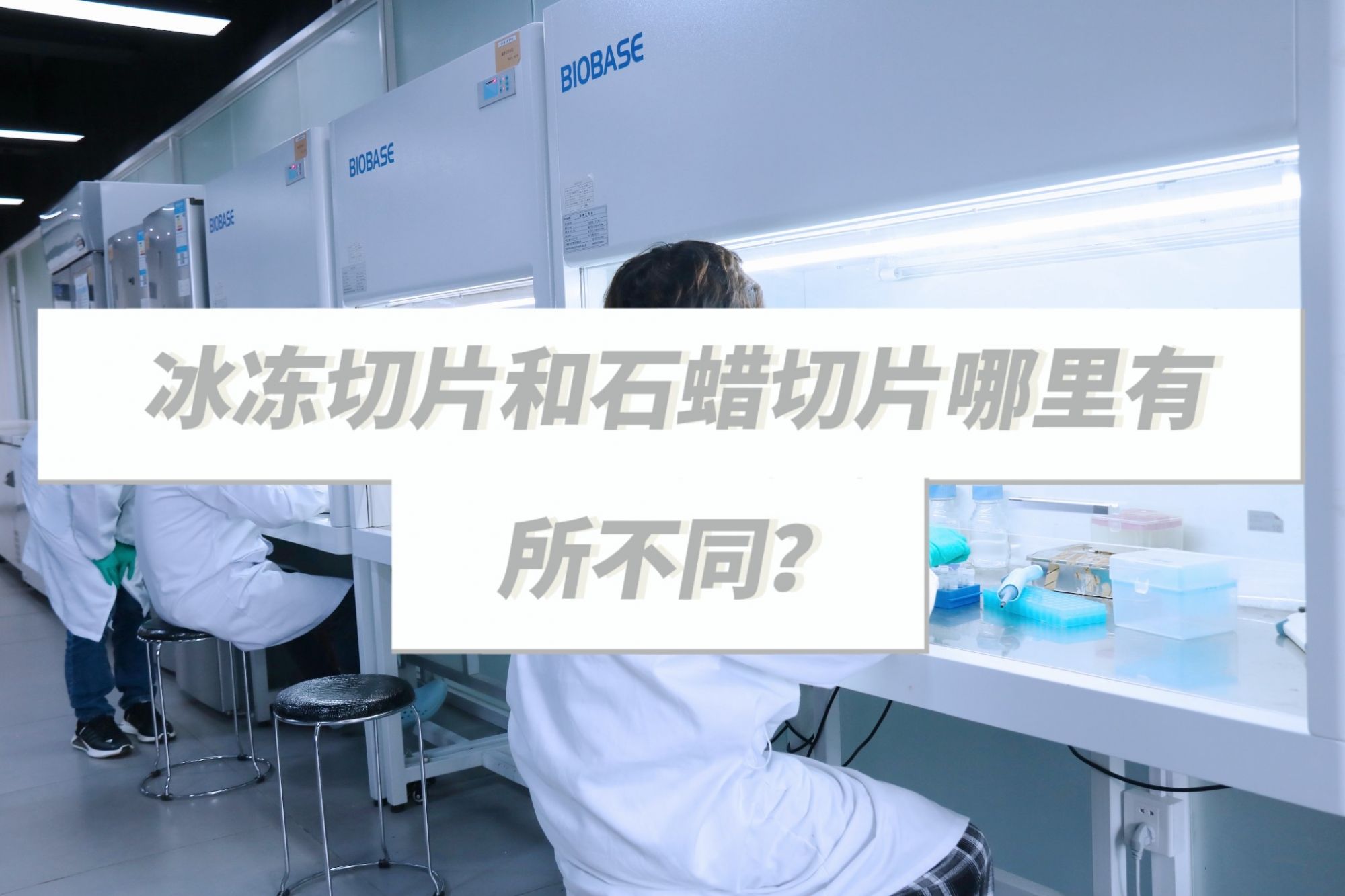 冰冻切片和石蜡切片有所不同？