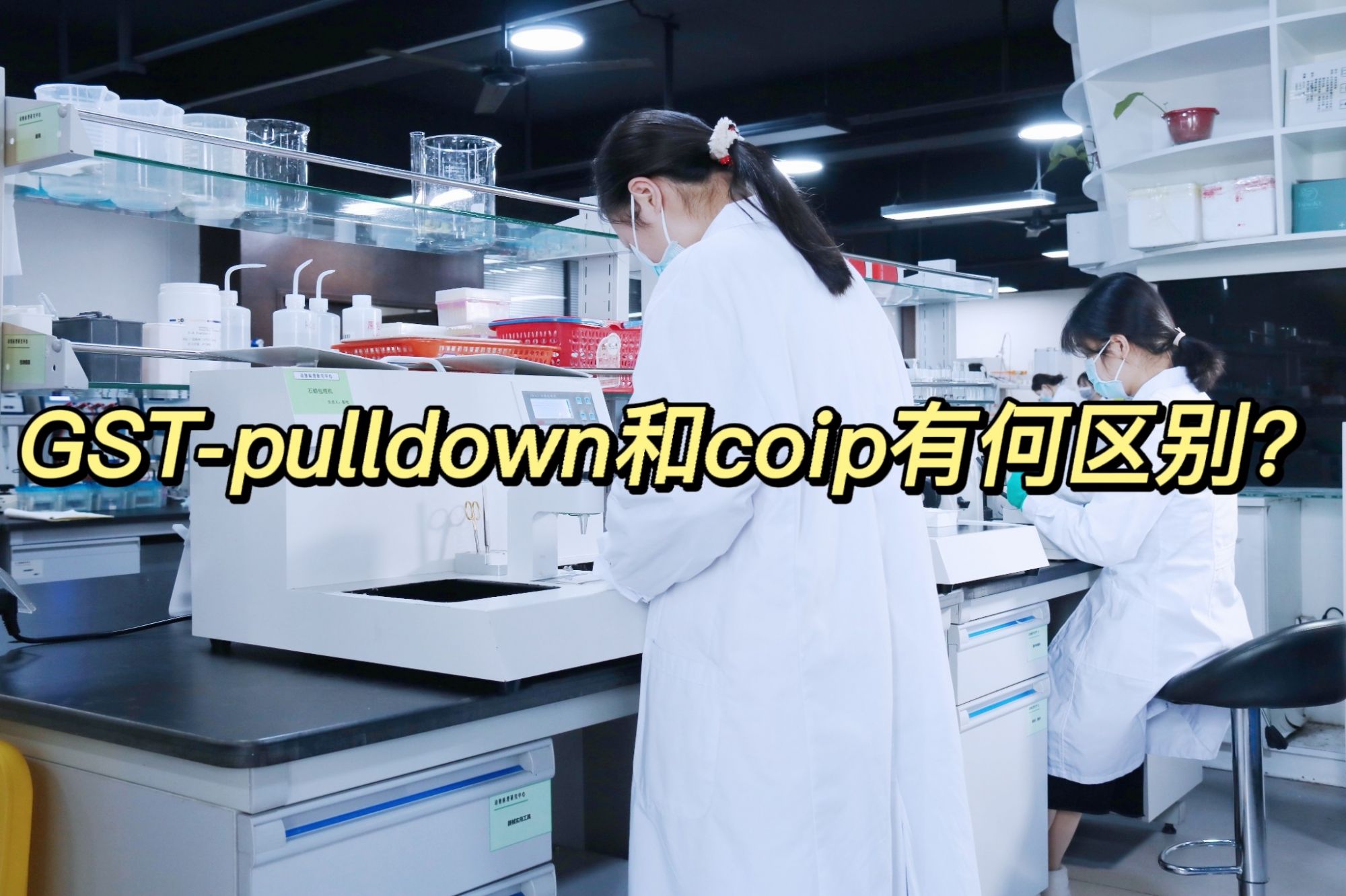  GST-puiidown和coip有何区别？