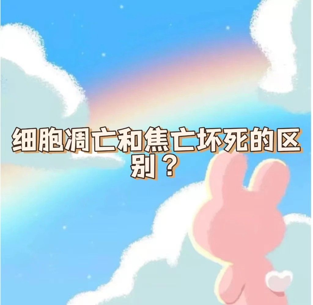 细胞凋亡和焦亡坏死的区别？