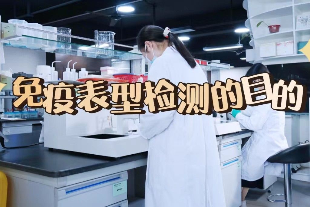 免疫表型检测的目的