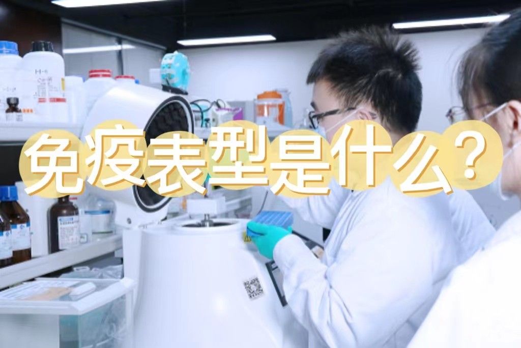 免疫表型是什么？