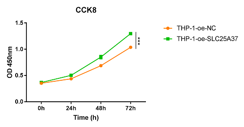  CCK8检测实验报告和详细的实验步骤【细胞实验外包】