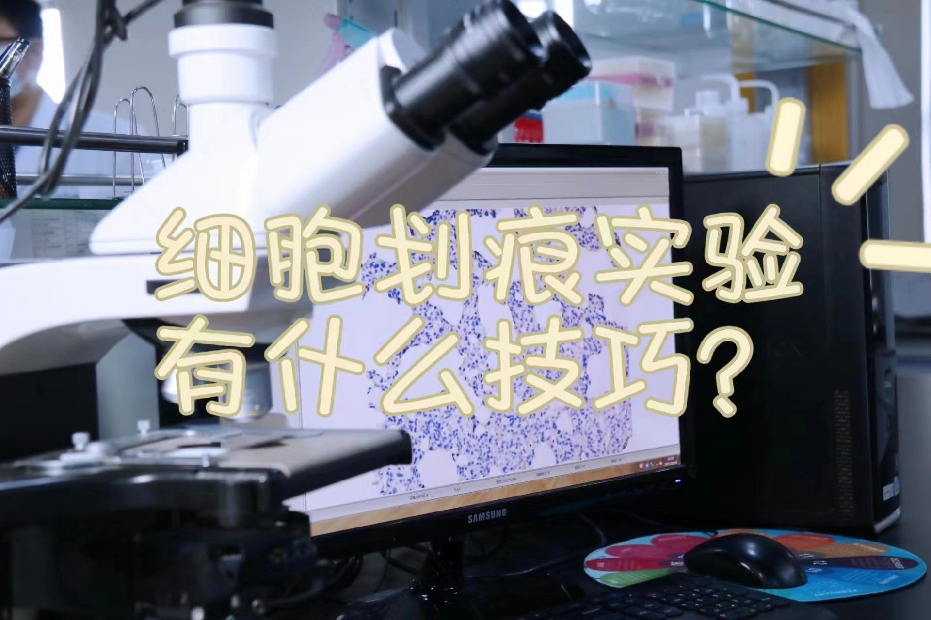 在进行细胞划痕实验中有什么技巧？