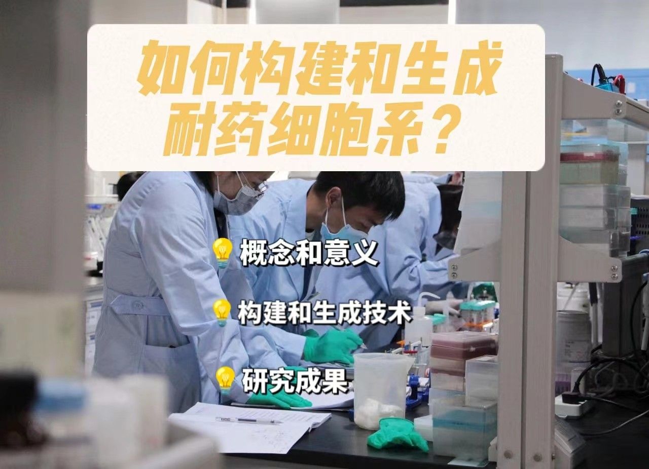  如何构建和生成耐药细胞系？