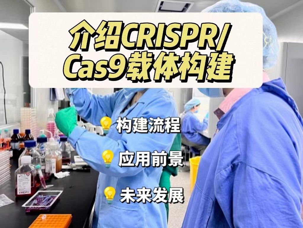 介绍CRISPR/Cas9载体构建