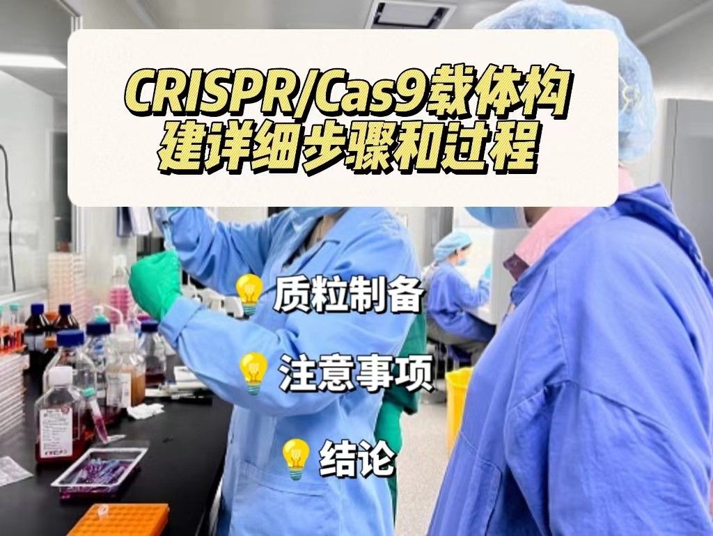  CRISPR/Cas9载体构建的详细步骤和过程