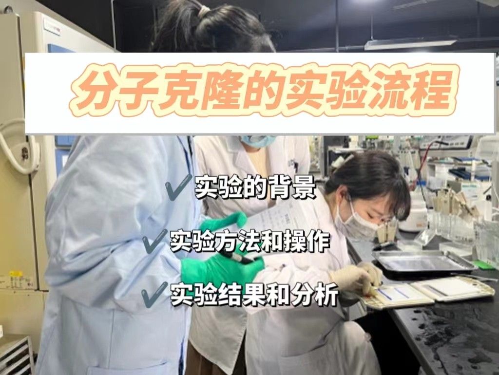  分子克隆：从基本概念到实验流程