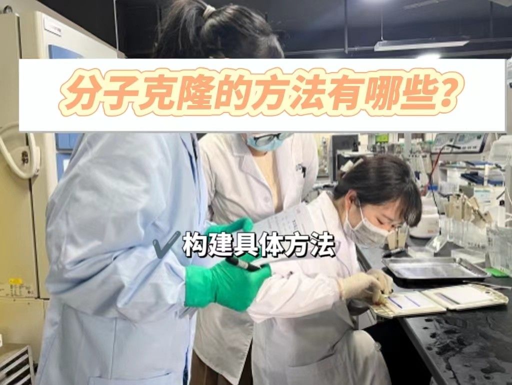  分子克隆的方法有哪些？