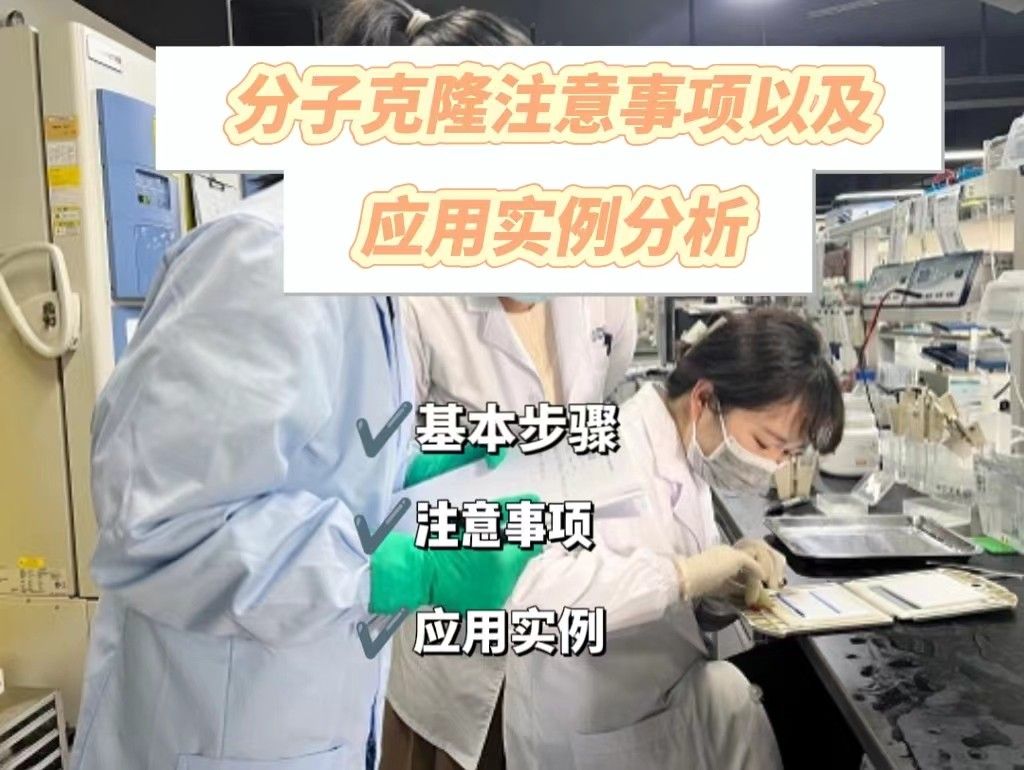 分子克隆注意事项及应用实例分析