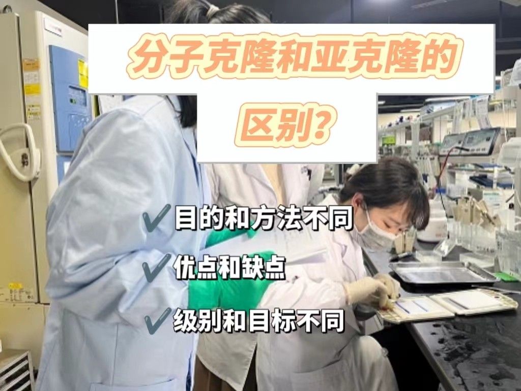 分子克隆和亚克隆的区别？