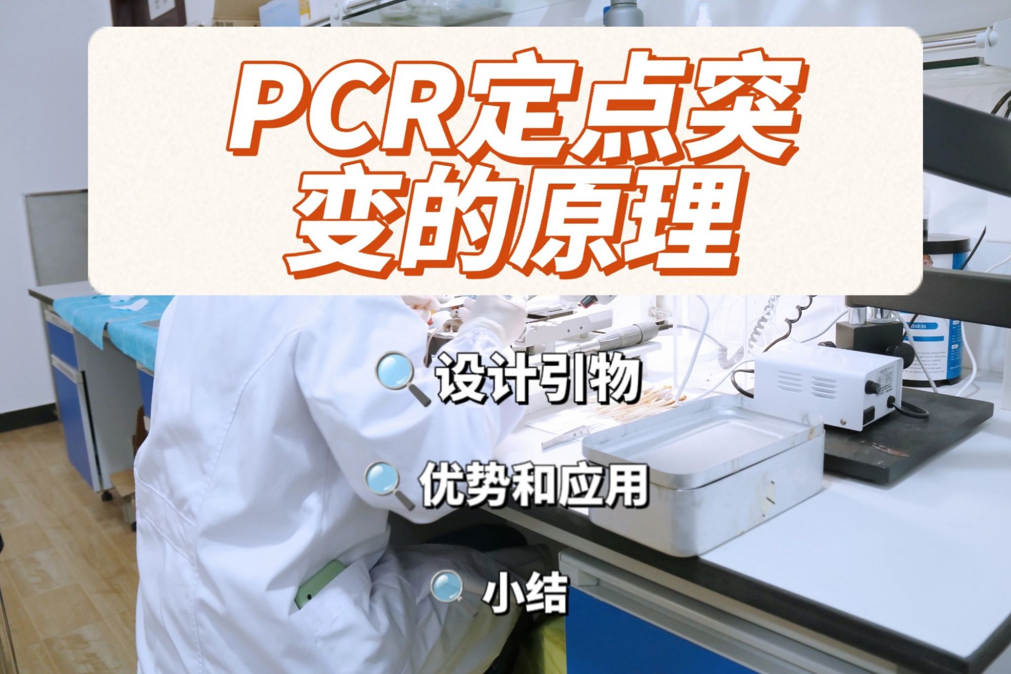了解PCR定点突变的原理【新手小白】