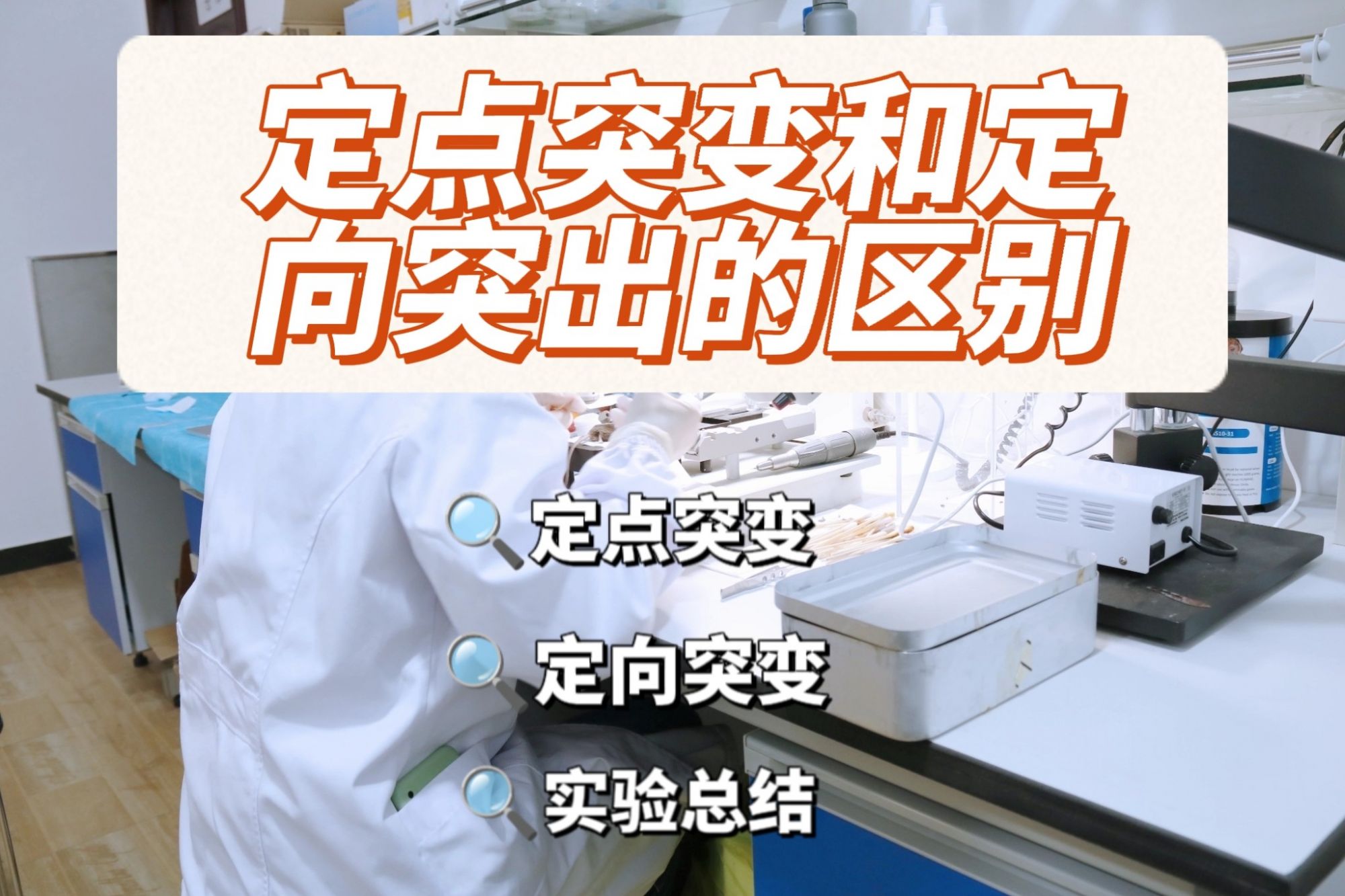 定点突变实验和定向突变的区别
