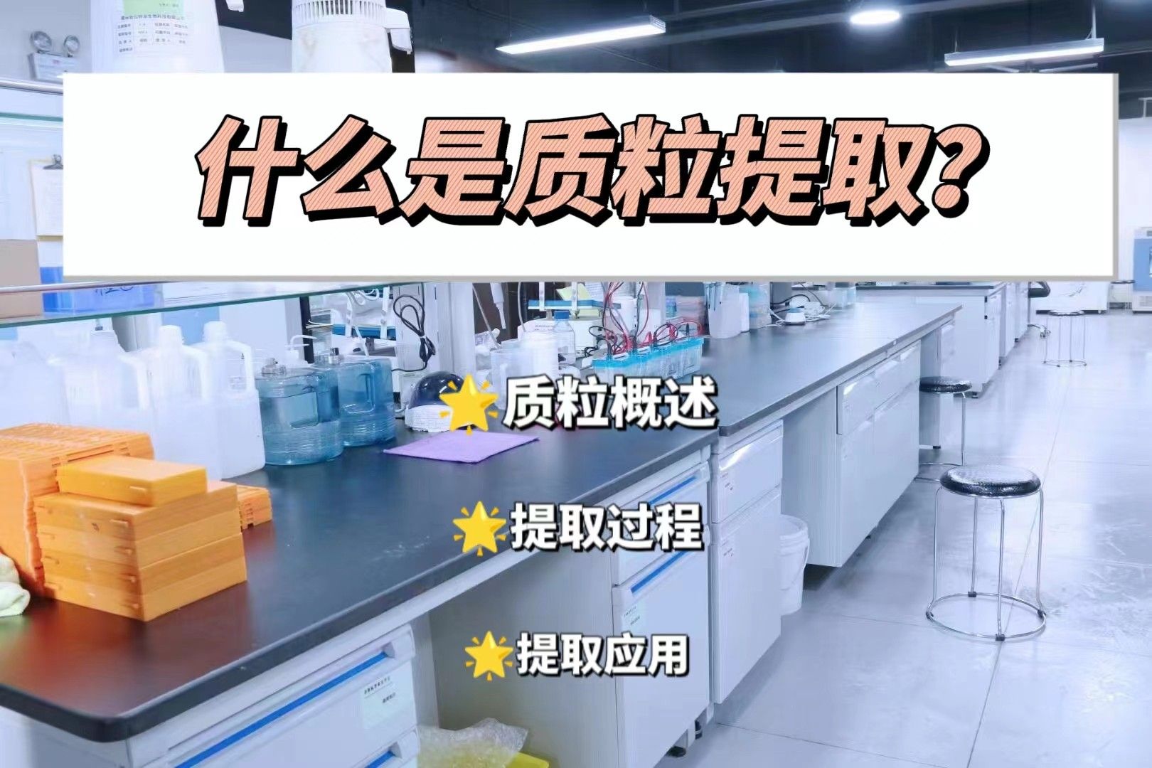   什么是质粒提取？【科研小白定基础】