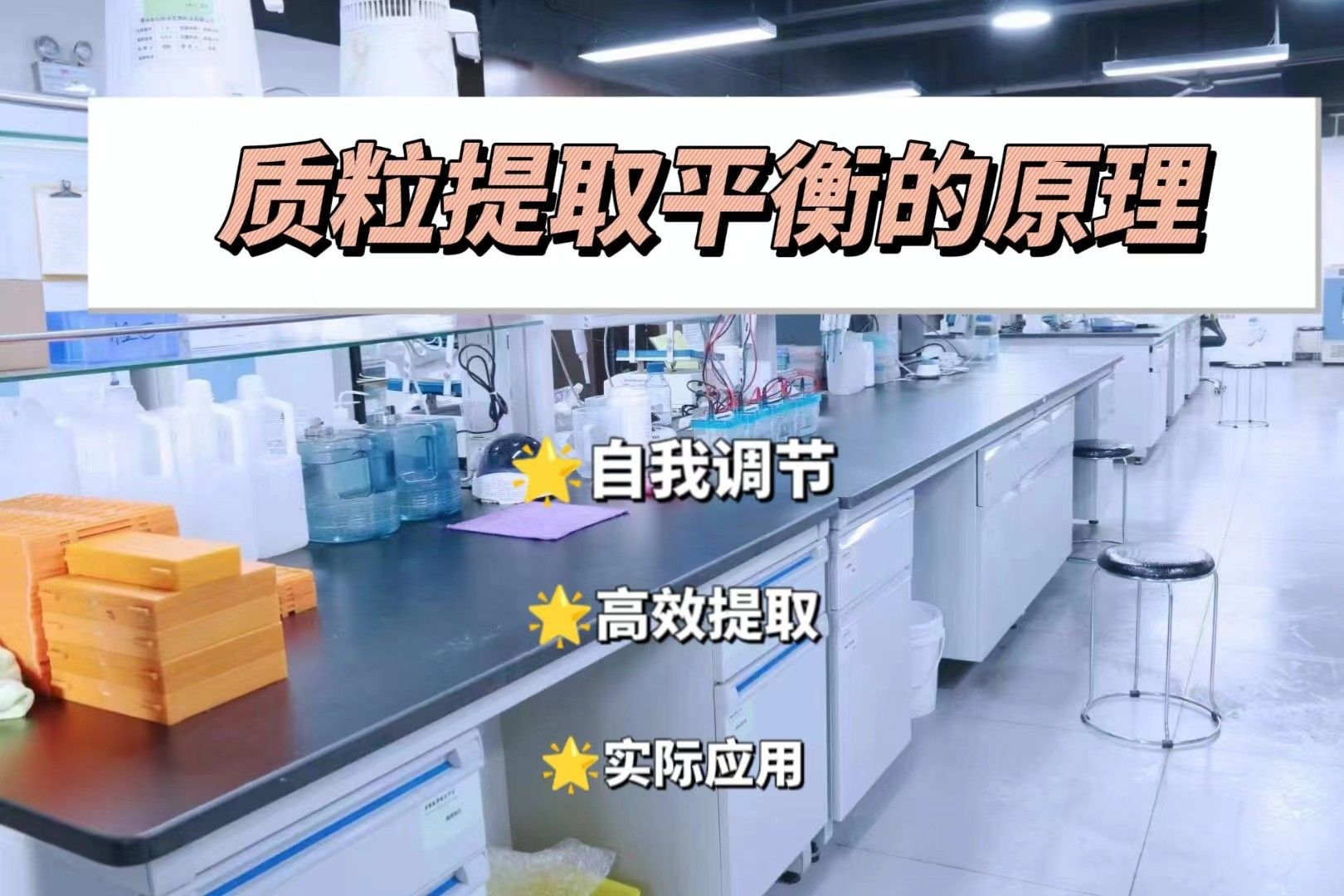 质粒提取平衡的原理