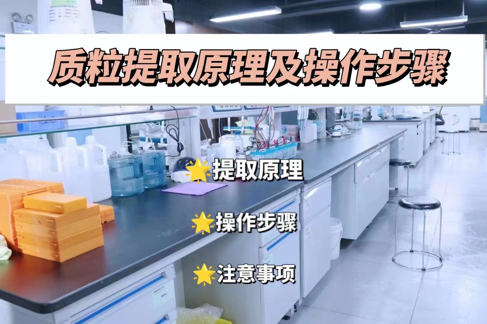 质粒提取原理及操作步骤