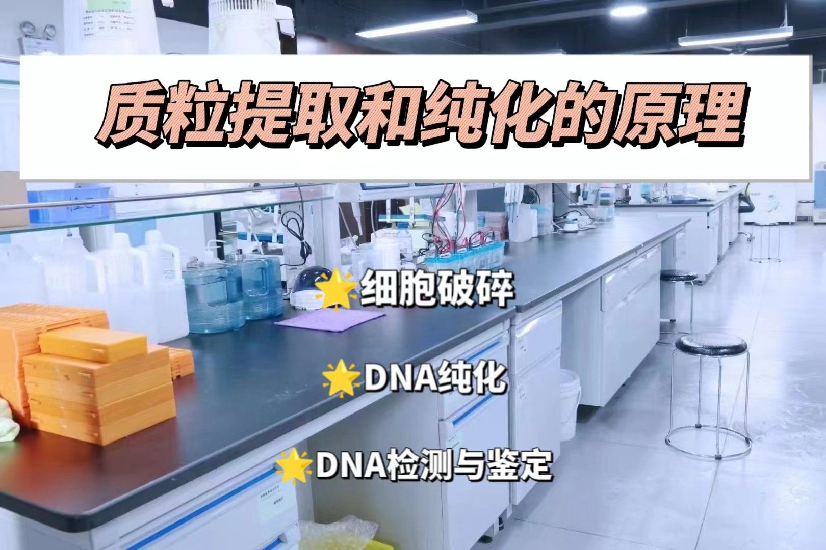 质粒提取和纯化的原理【质粒提取实验外包】