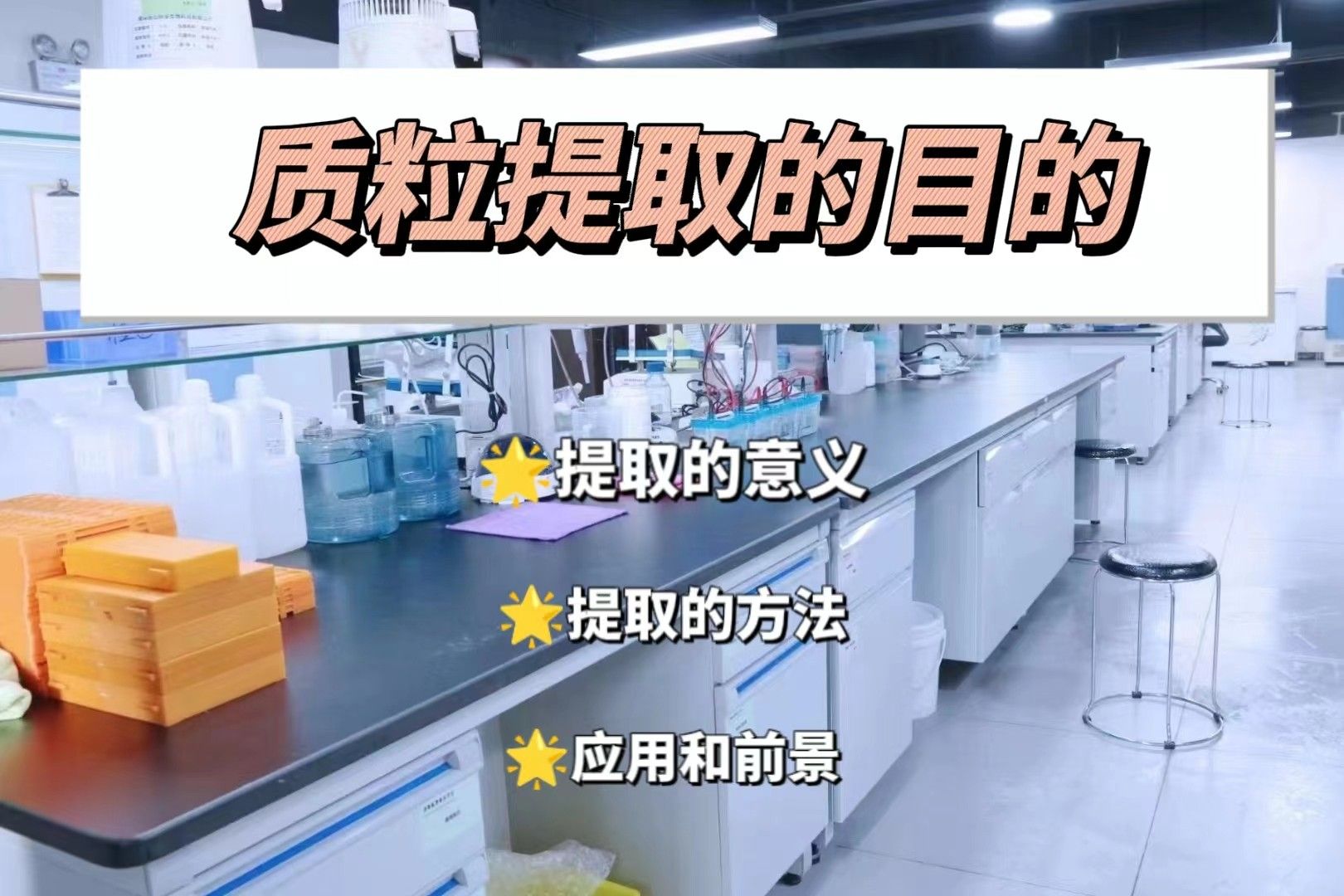 质粒提取的目的【质粒提取外包】