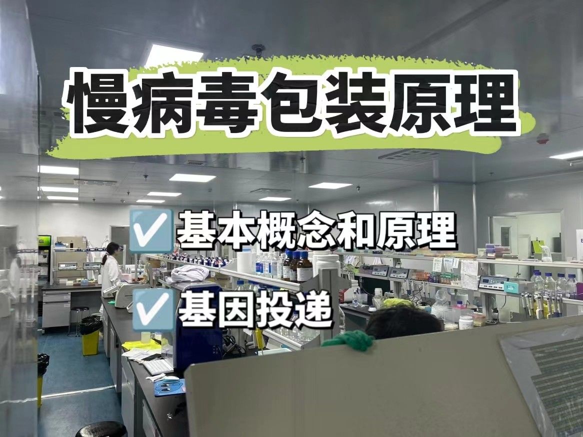  慢病毒包装的原理