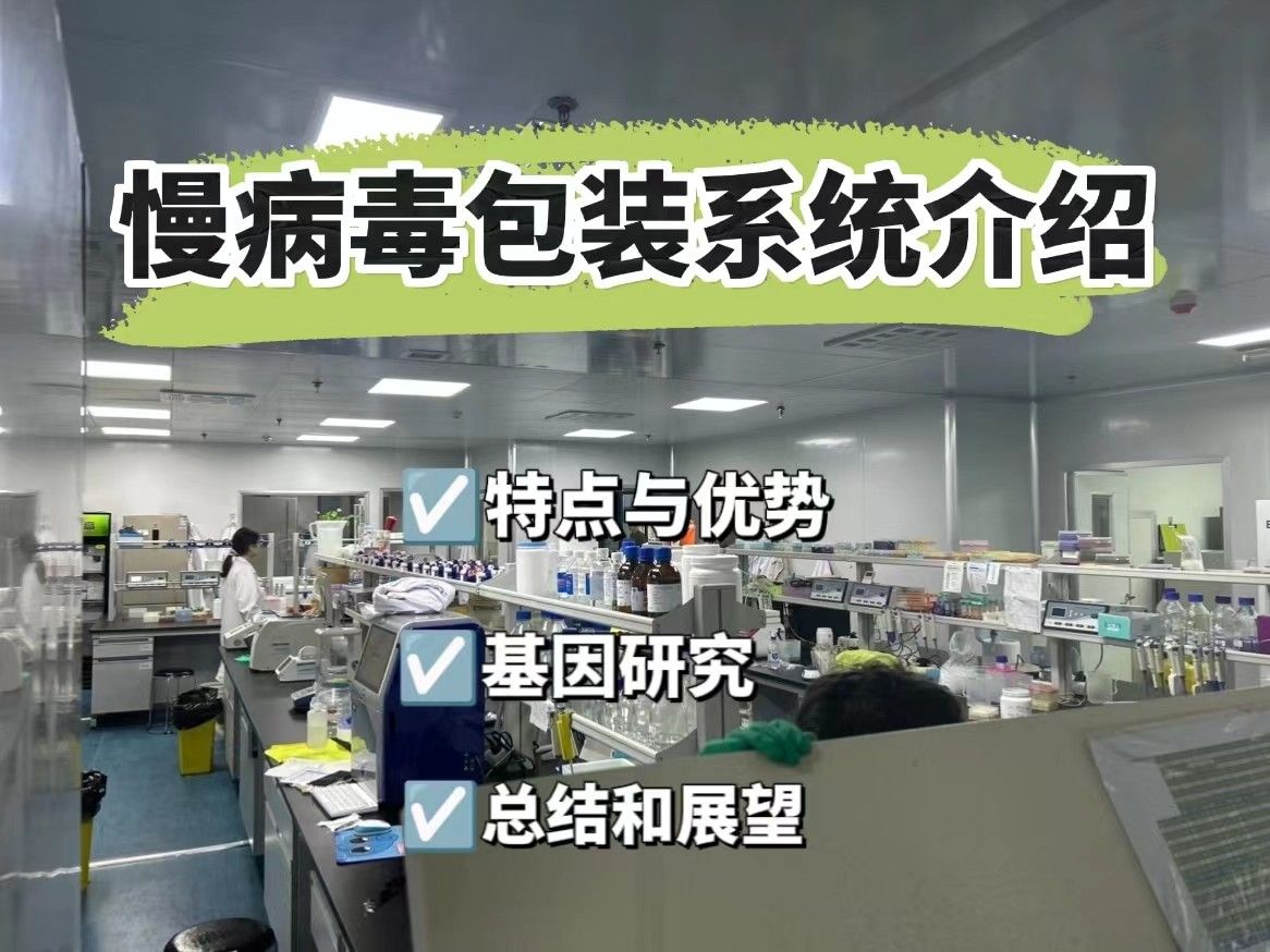  慢病毒包装系统介绍