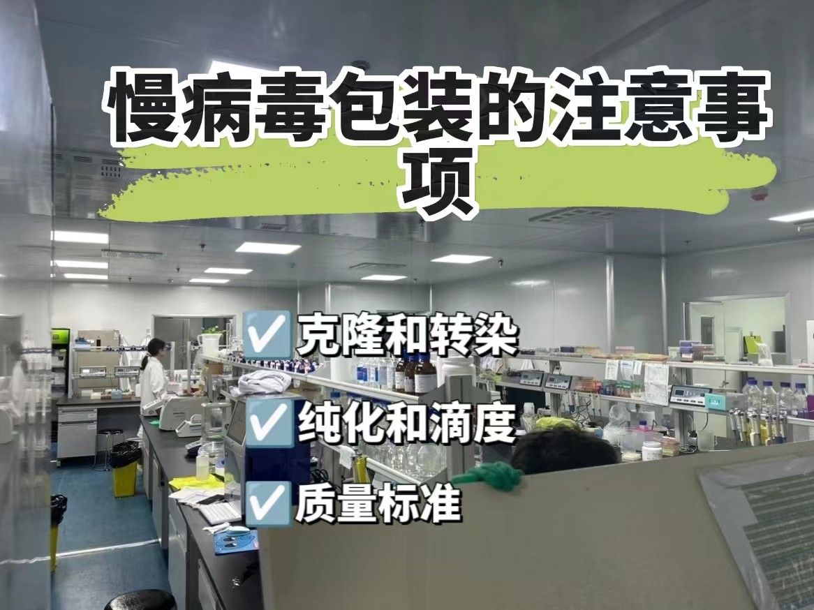 慢病毒包装的注意事项