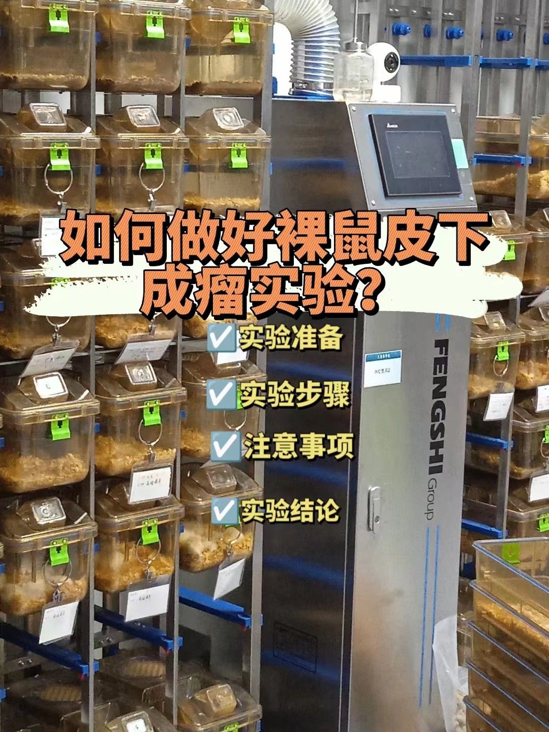  如何做好裸鼠皮下成瘤实验？【新手适用】