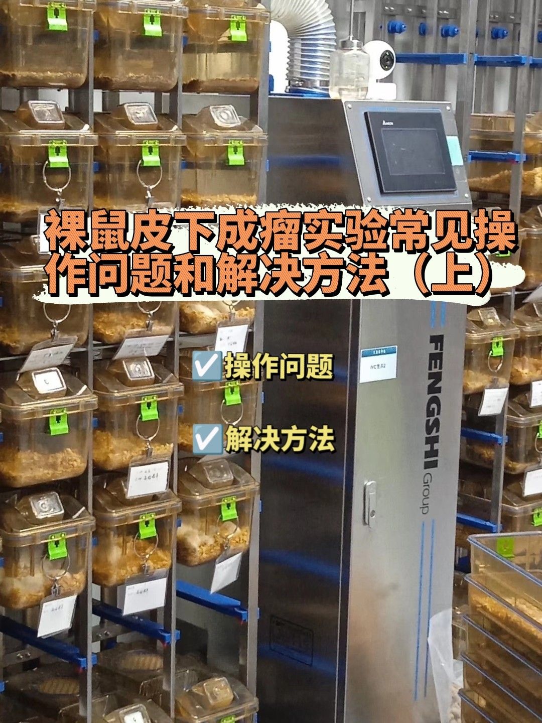 裸鼠皮下成瘤实验常见操作问题以及解决办法（上）