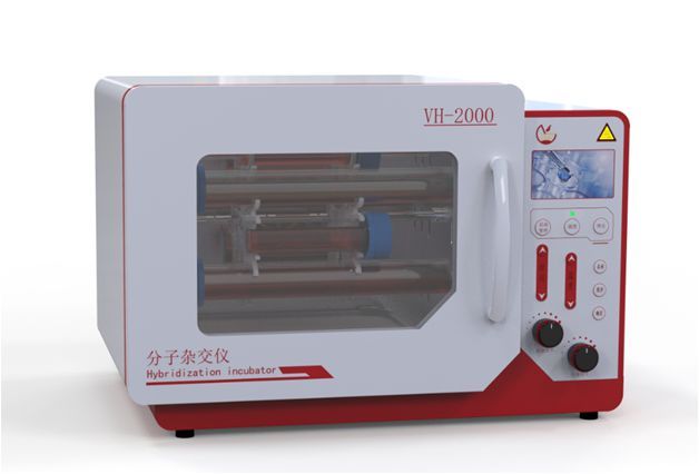 western blot仪器介绍