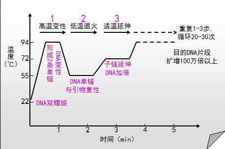 QPCR内参是什么？