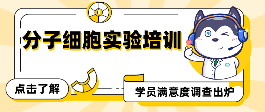 1月份分子细胞实验培训学员满意度调查出炉！