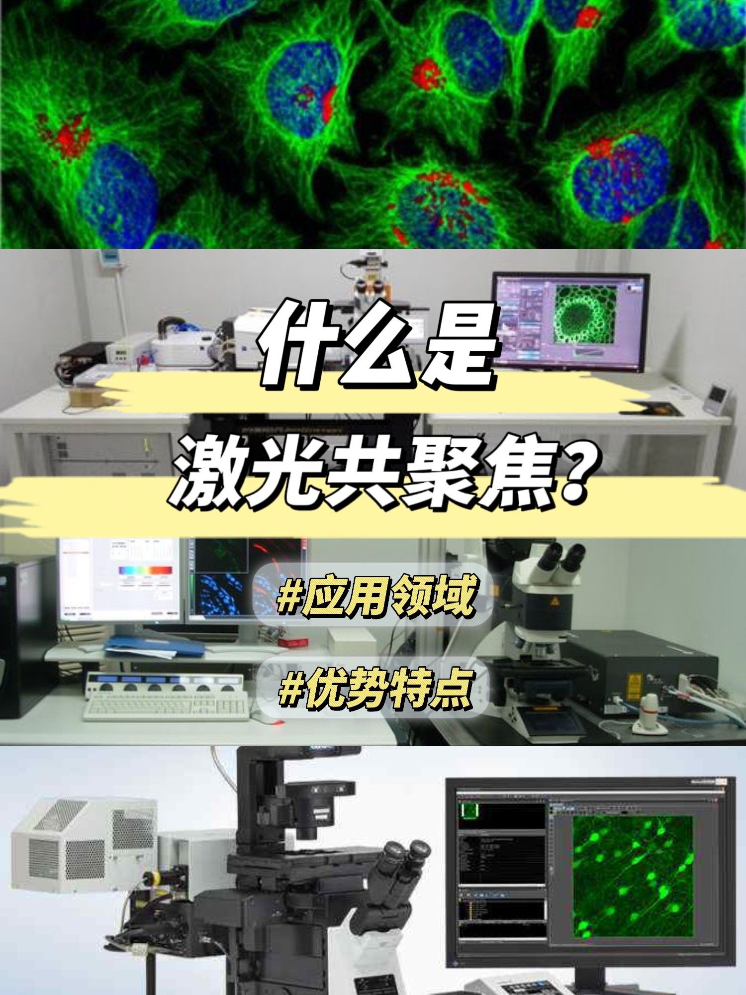 什么是激光共聚焦技术？
