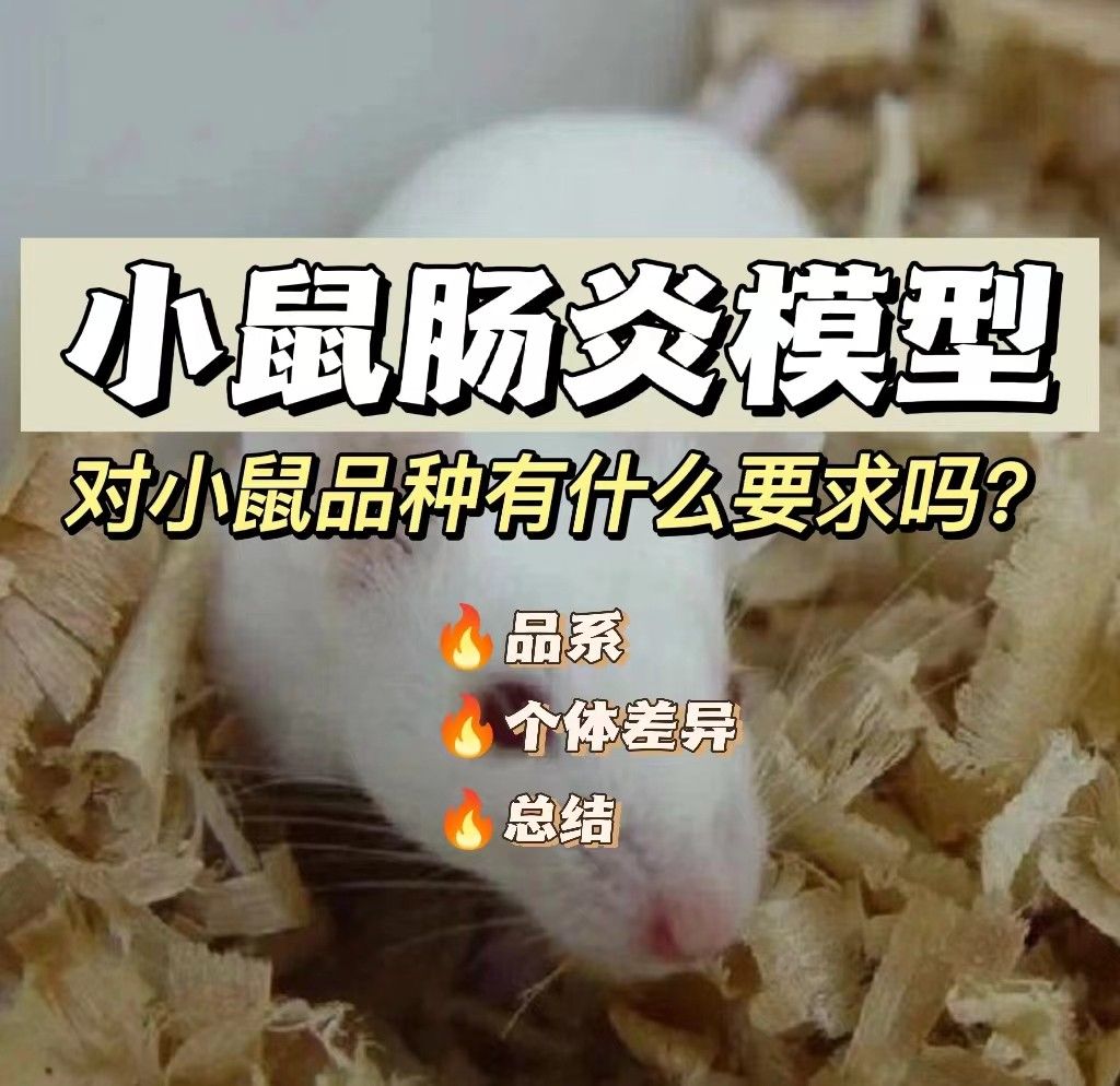 小鼠肠炎模型对小鼠品种有什么要求吗？