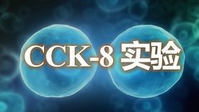 CCK8实验的图都有哪些？