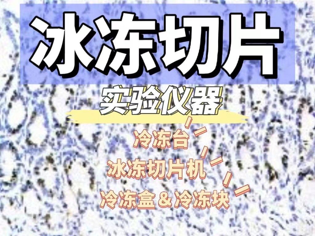 常用的冰冻切片实验仪器有哪些？