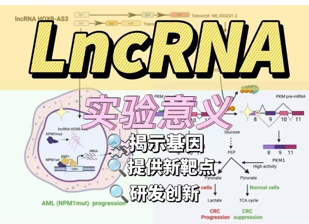 lncRNA实验意义