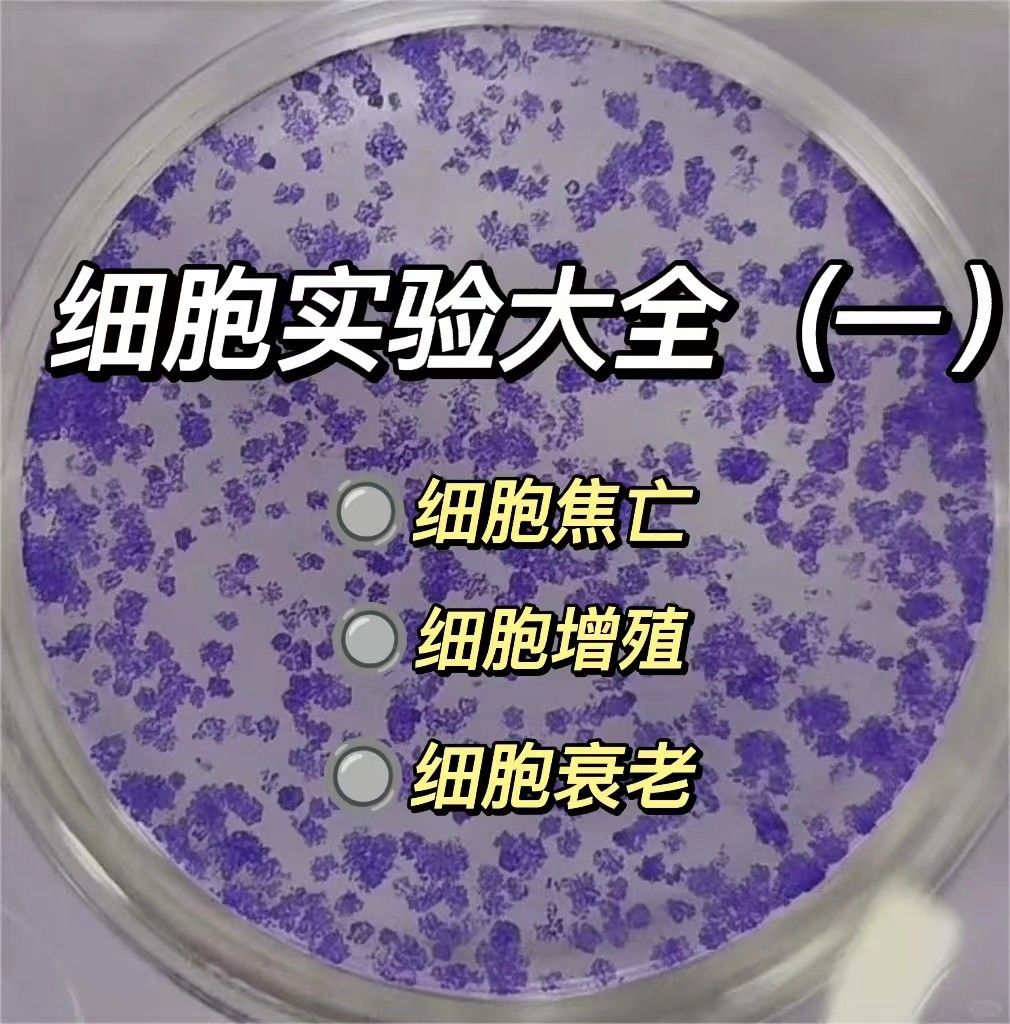 细胞实验大全（一）汇总总结