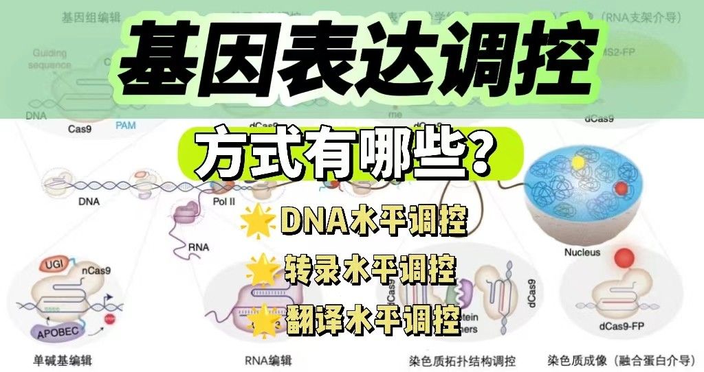 基因表达调控方式有哪些？
