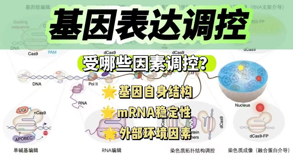 基因表达受哪些因素调控？