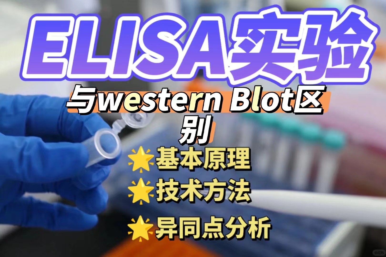 ELISA实验与Western Blot的异同点解析：如何选择更适合实验方法？