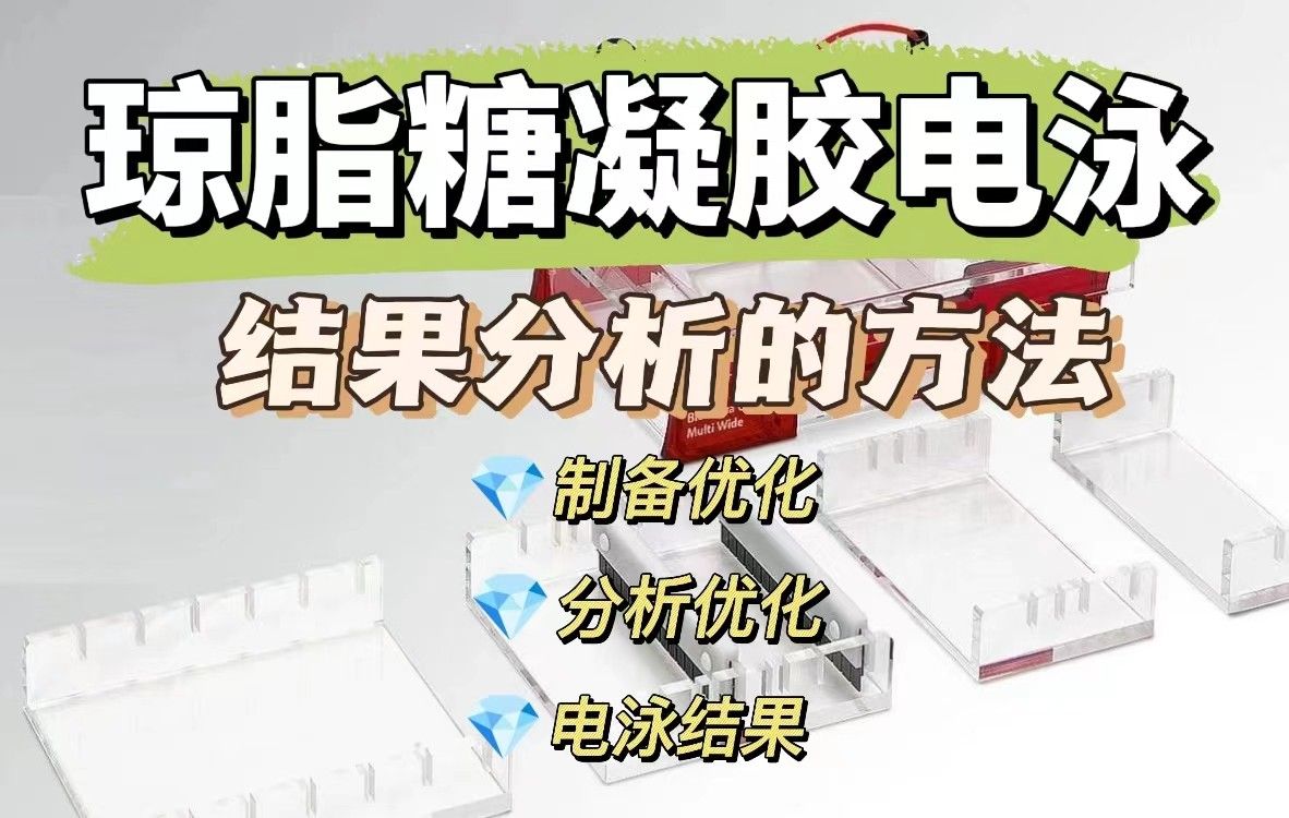 给出优化&zwnj;琼脂糖凝胶电泳结果分析&zwnj;的方法
