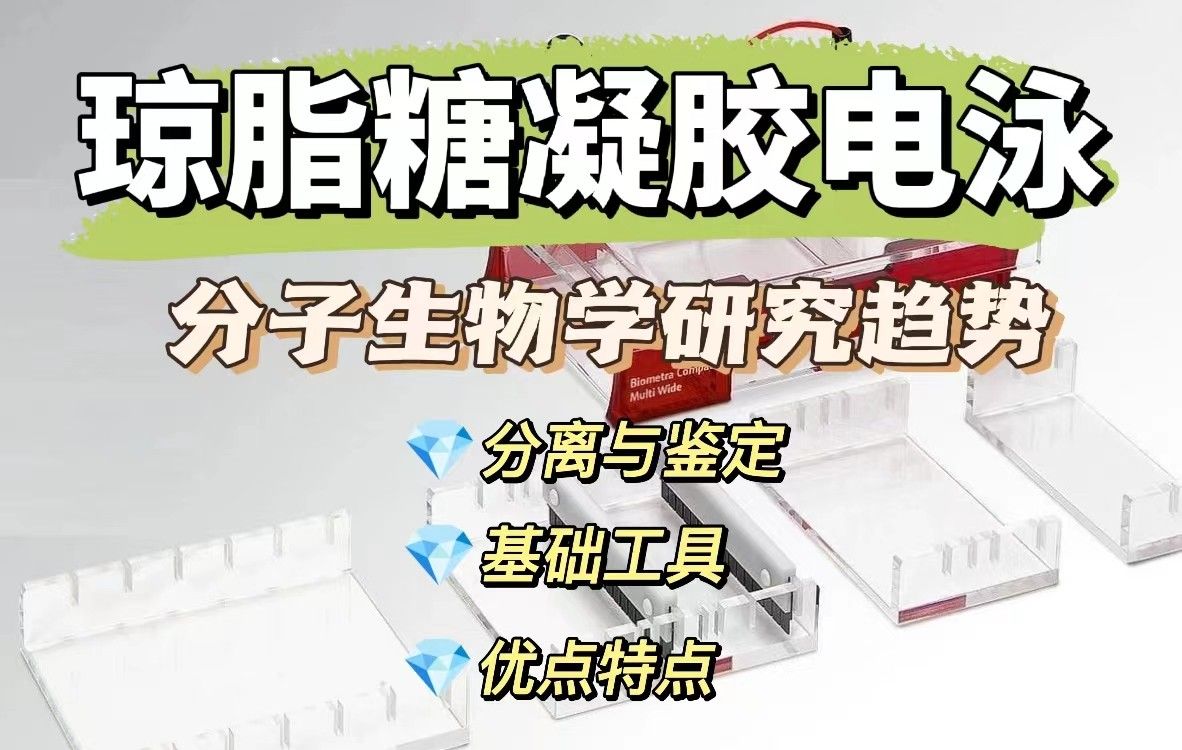 探讨琼脂糖凝胶电泳在分子生物学研究中的发展趋势