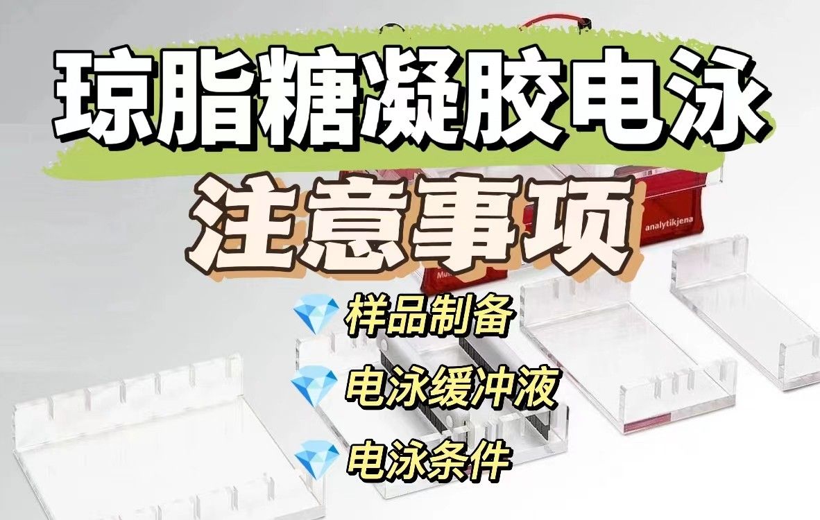 琼脂糖凝胶电泳注意事项